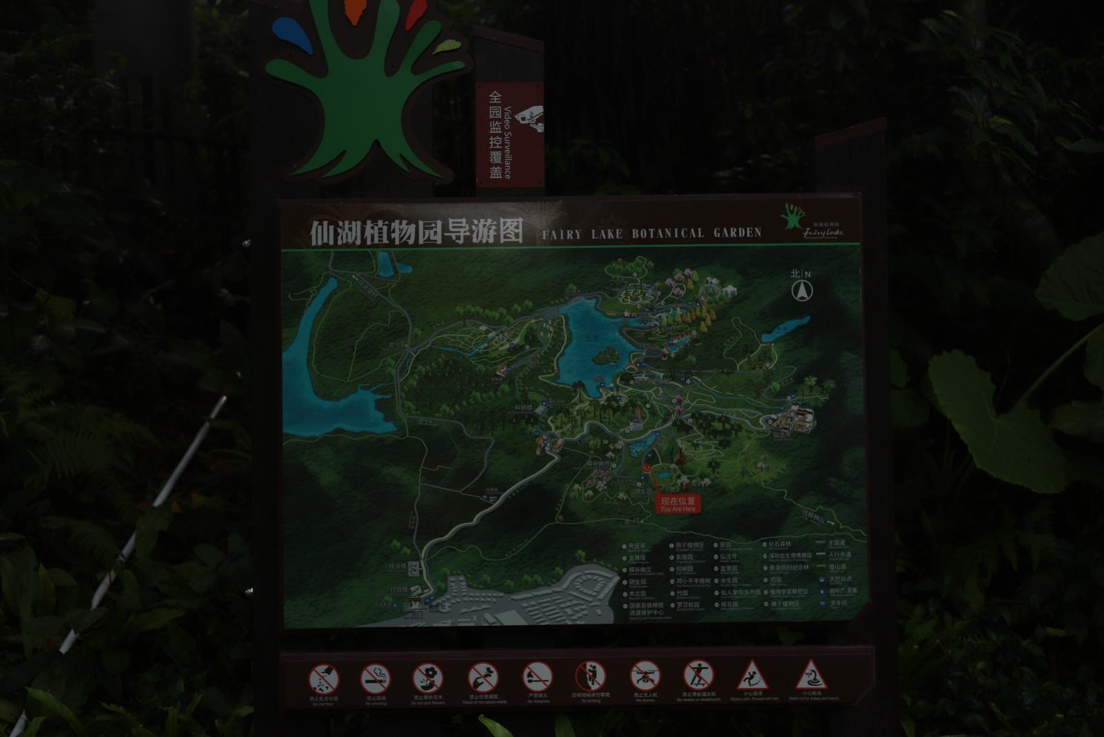 仙湖花展