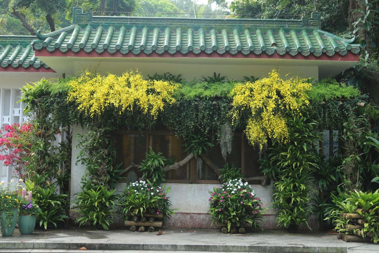 仙湖花展
