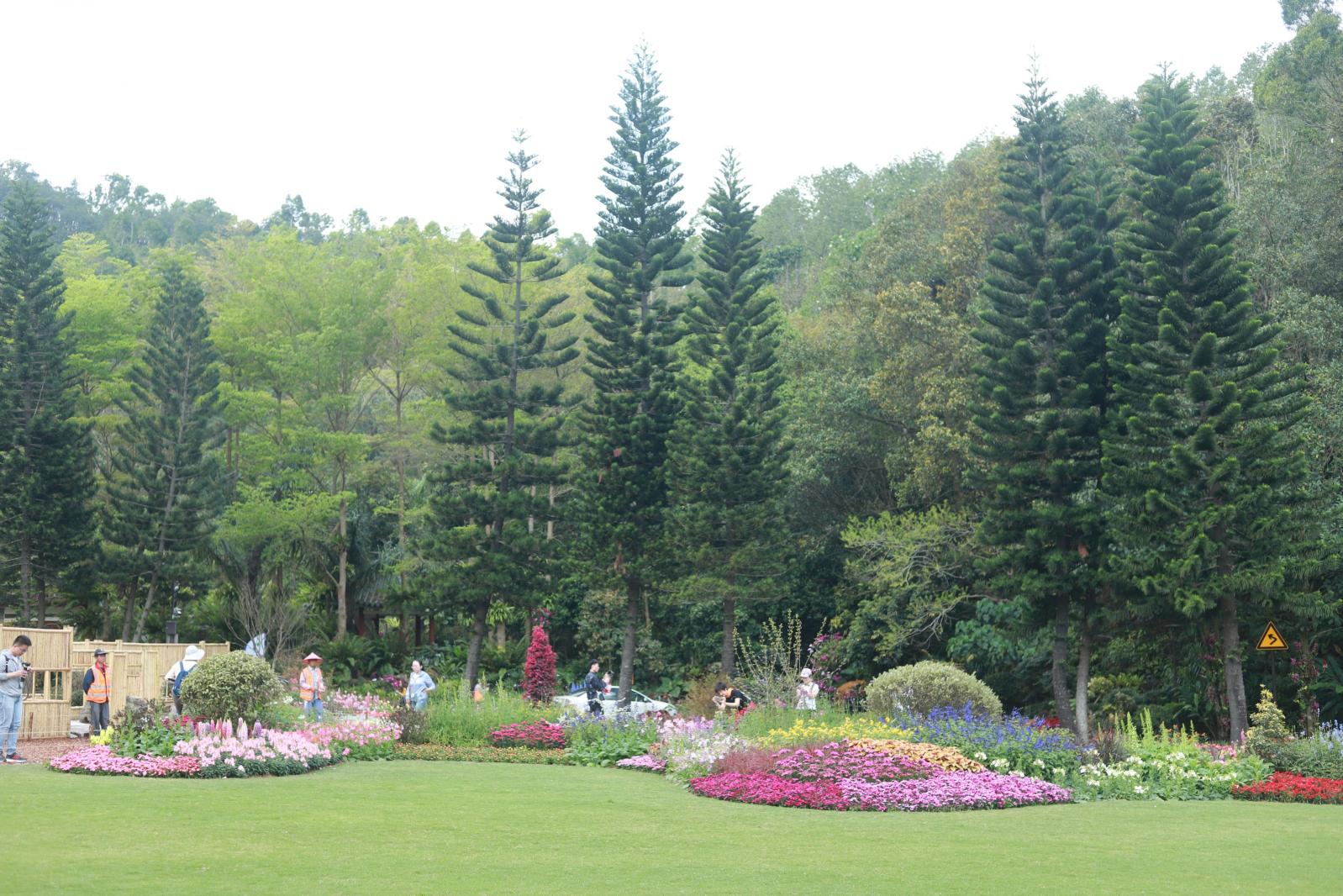 仙湖花展