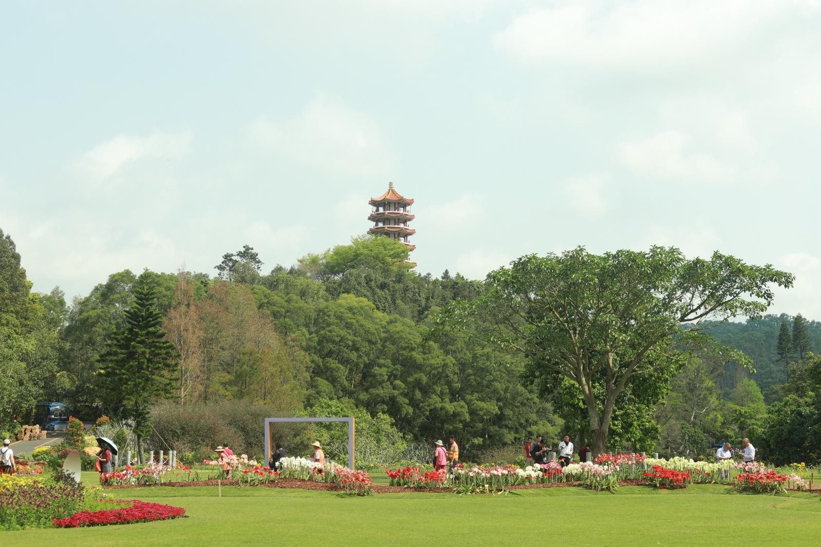 仙湖花展