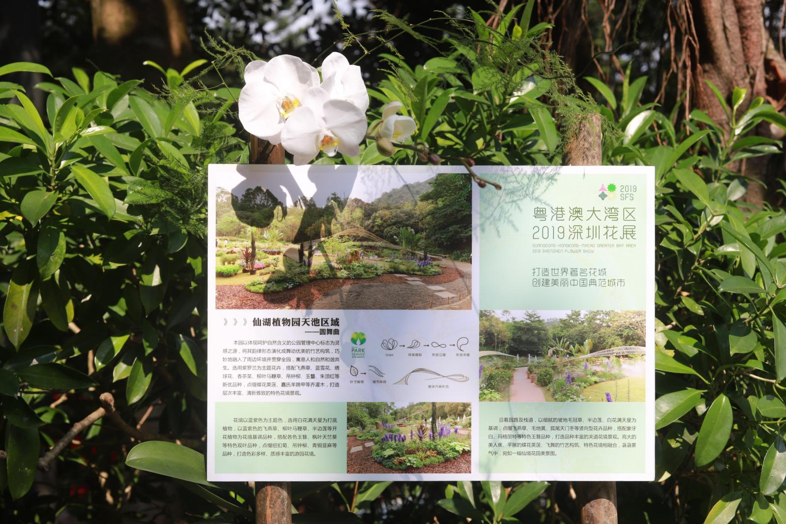 仙湖花展