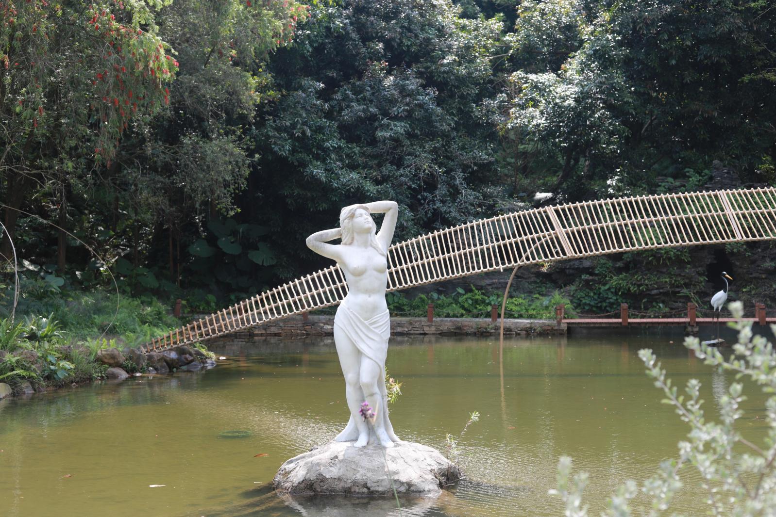 仙湖花展