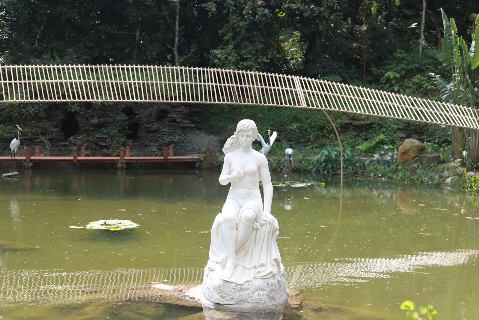 仙湖花展