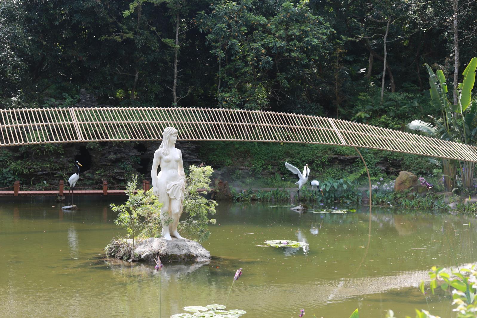 仙湖花展