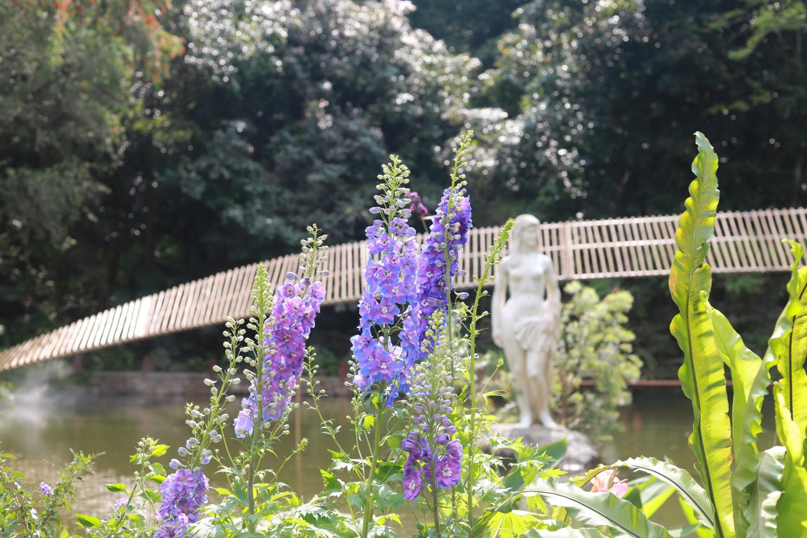 仙湖花展