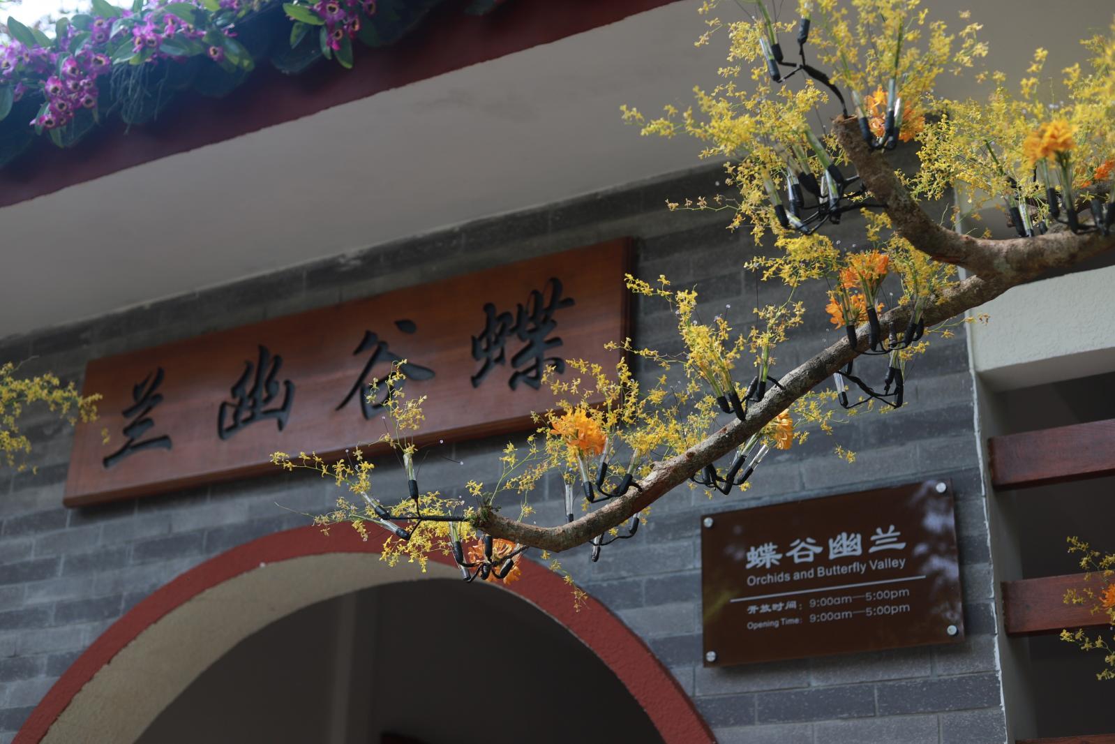 仙湖花展
