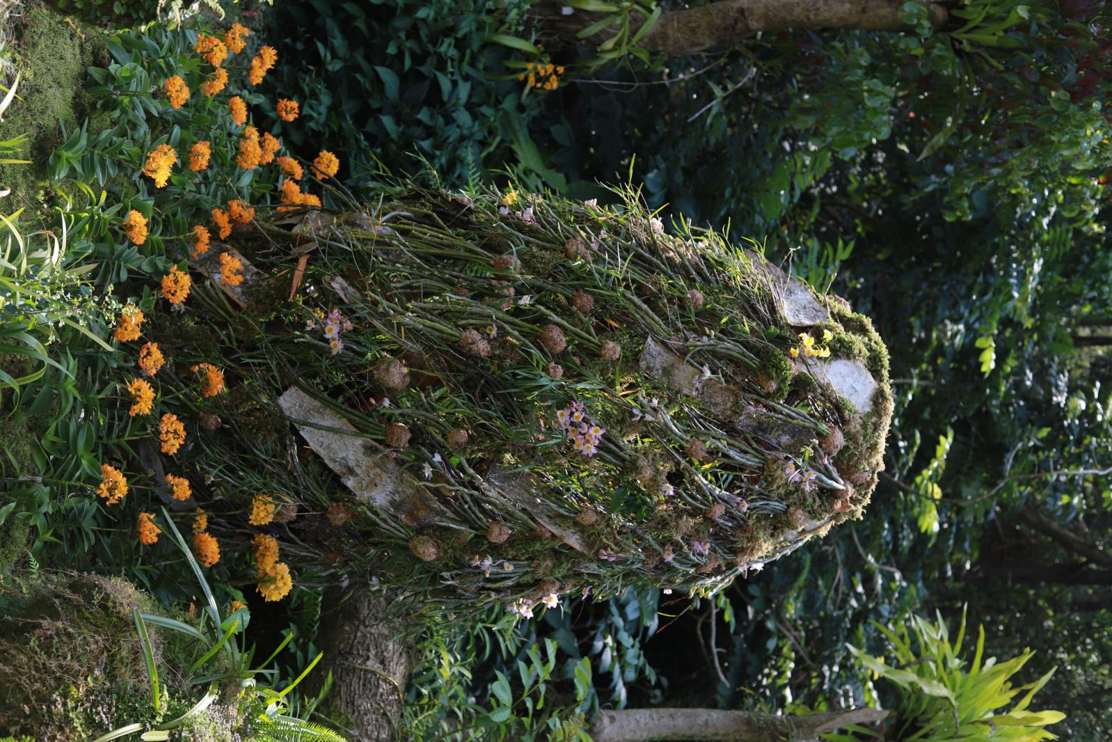 仙湖花展