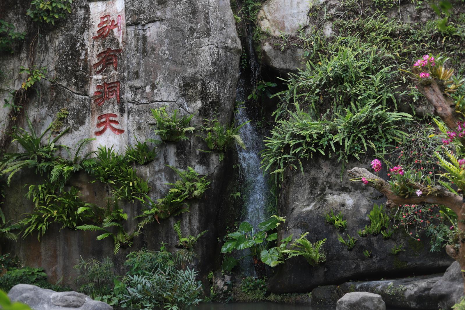 仙湖花展