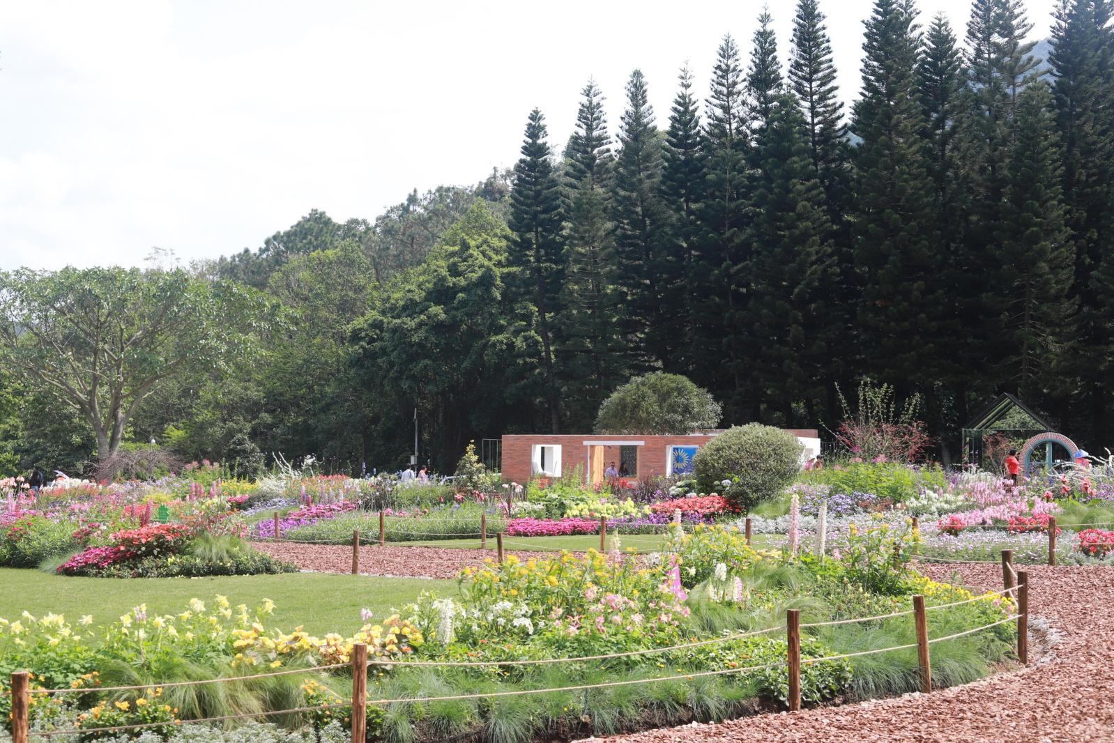 仙湖花展