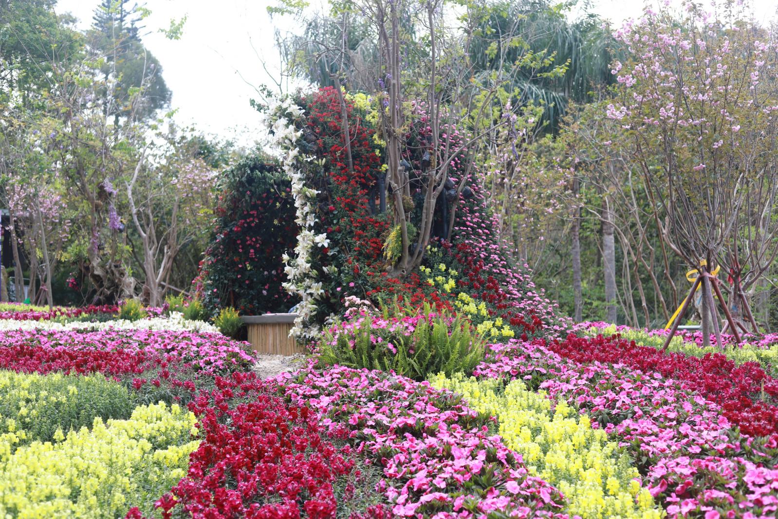 仙湖花展