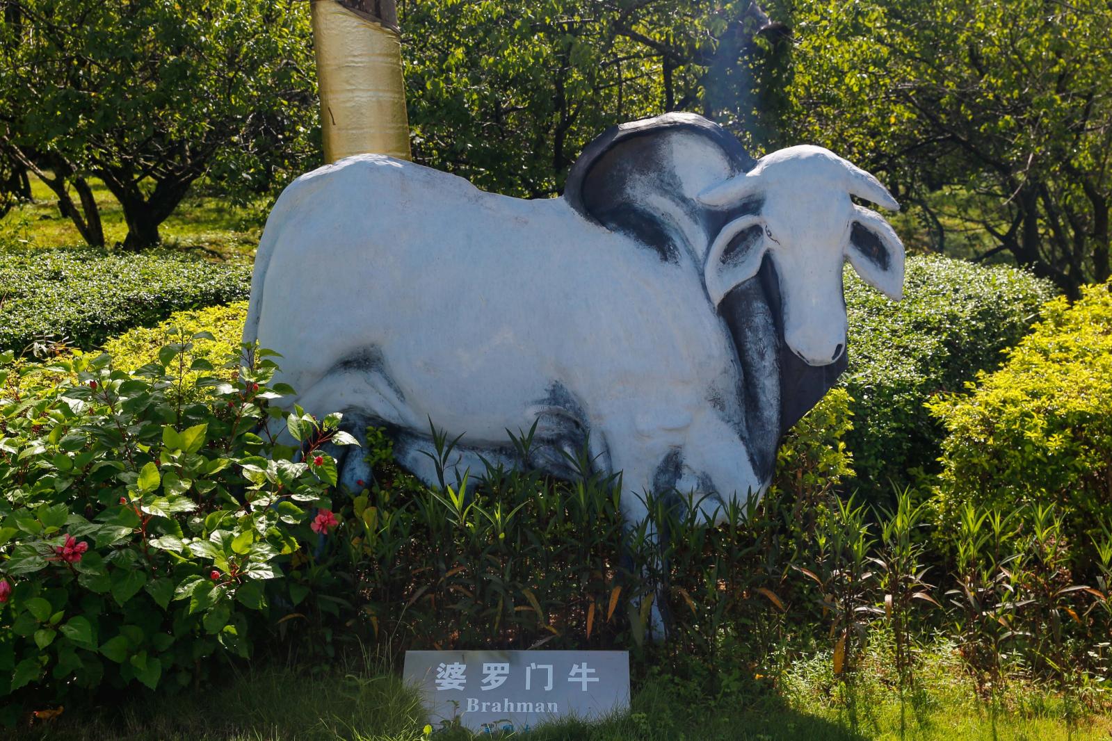 光明农场大观园