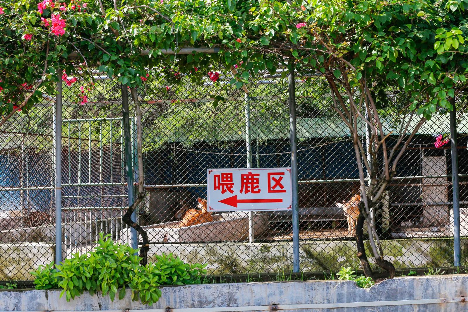 光明农场大观园