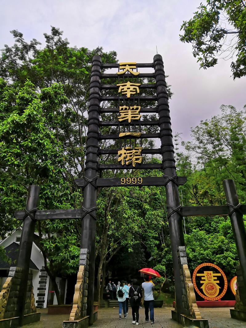 广州增城白水寨(by 布丁)