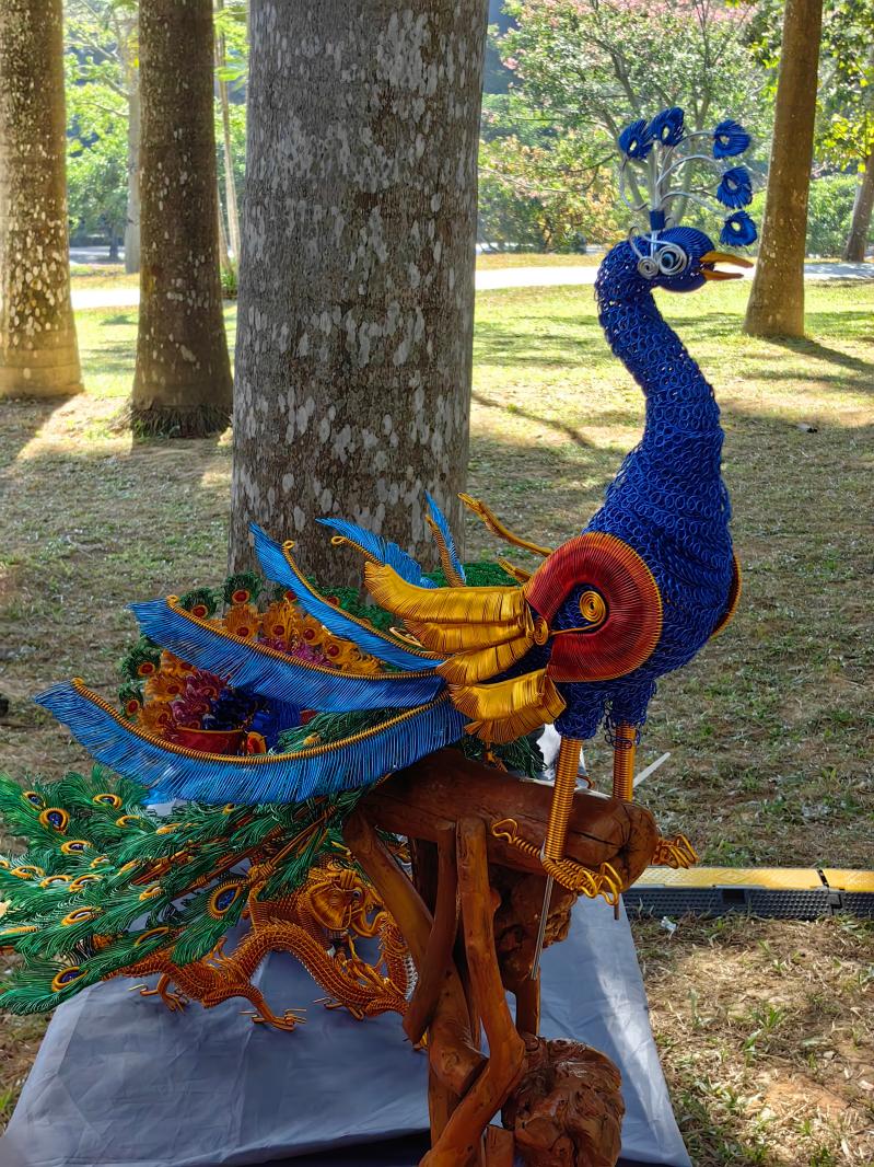 2024莲花山勒杜鹃展