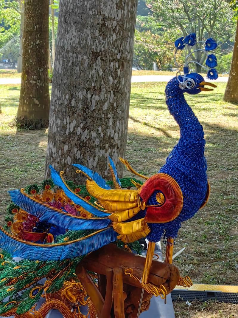 2024莲花山勒杜鹃展