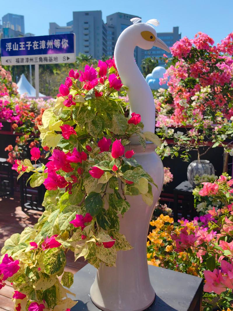 2024莲花山勒杜鹃展