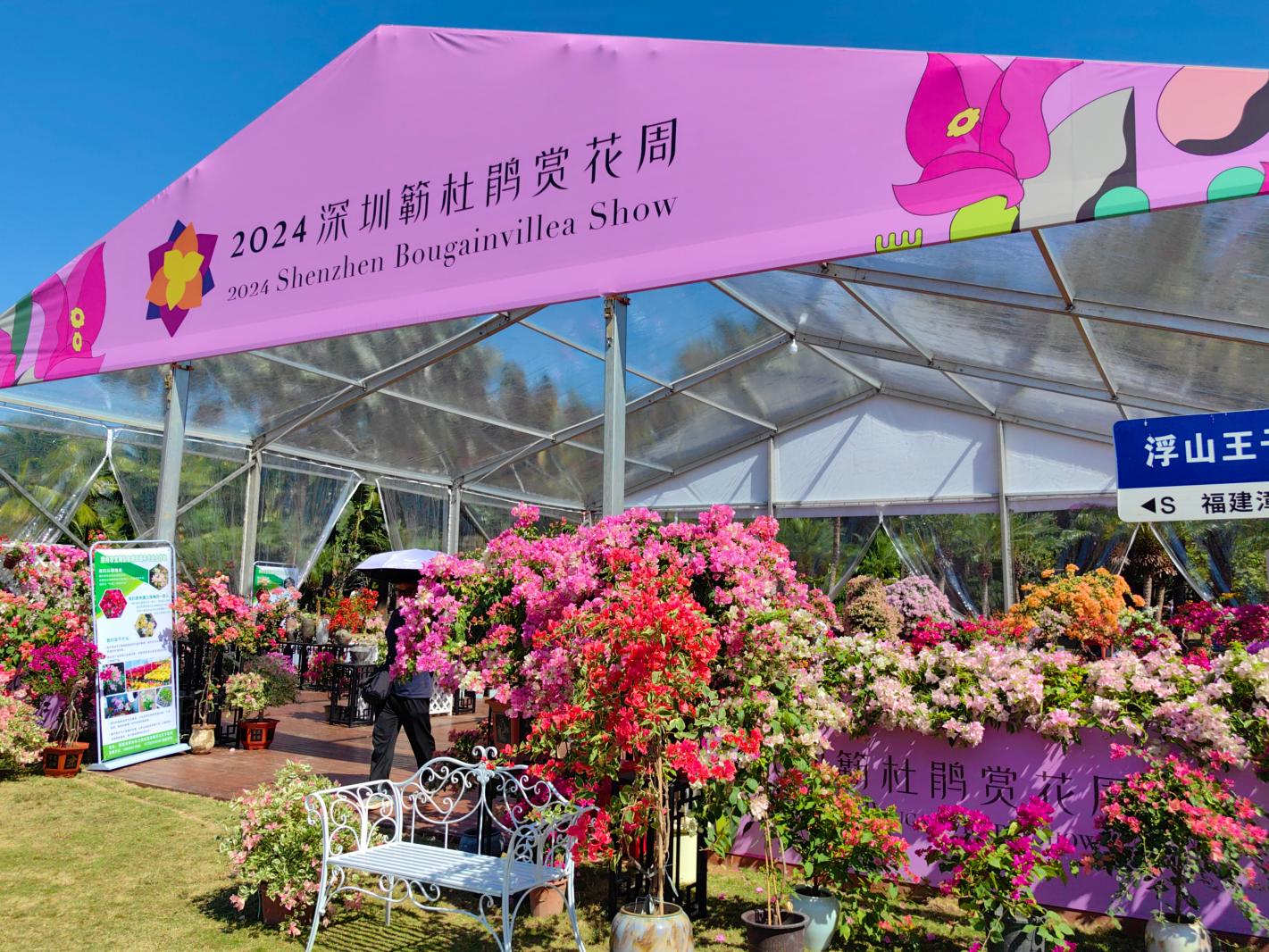 2024莲花山勒杜鹃展