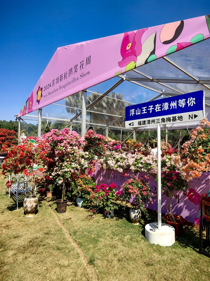 2024莲花山勒杜鹃展