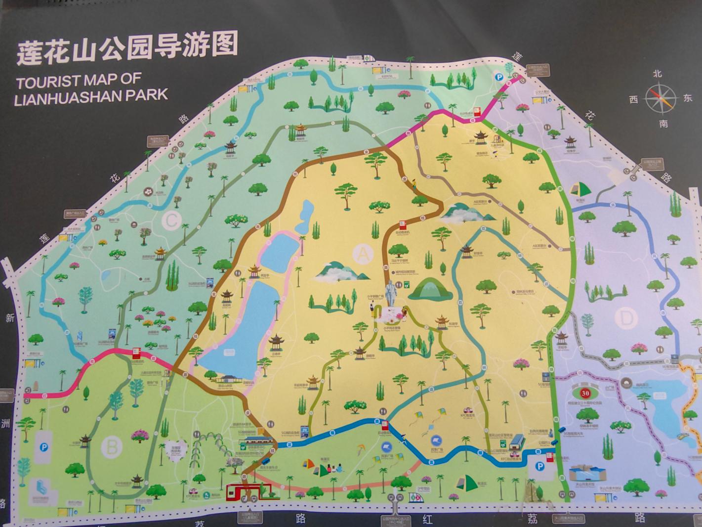 2024莲花山勒杜鹃展