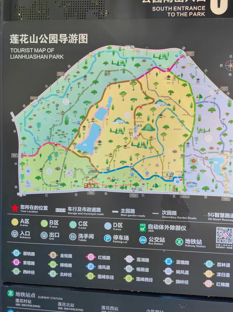 2024莲花山勒杜鹃展