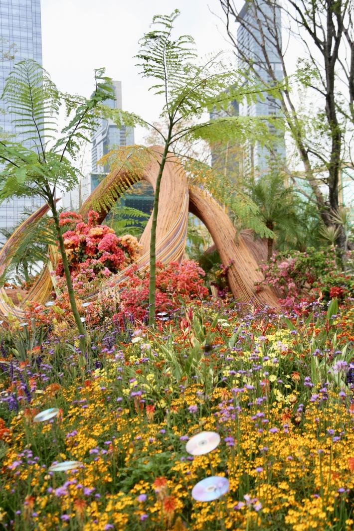 2025粤港澳大湾区花展
