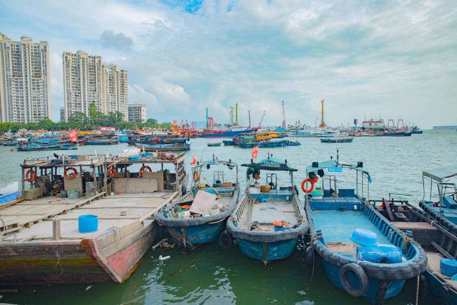 深圳湾滨海休闲带西段