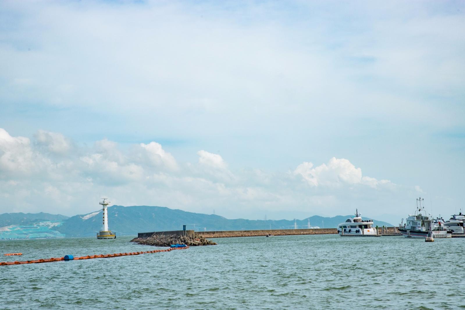 深圳湾滨海休闲带西段