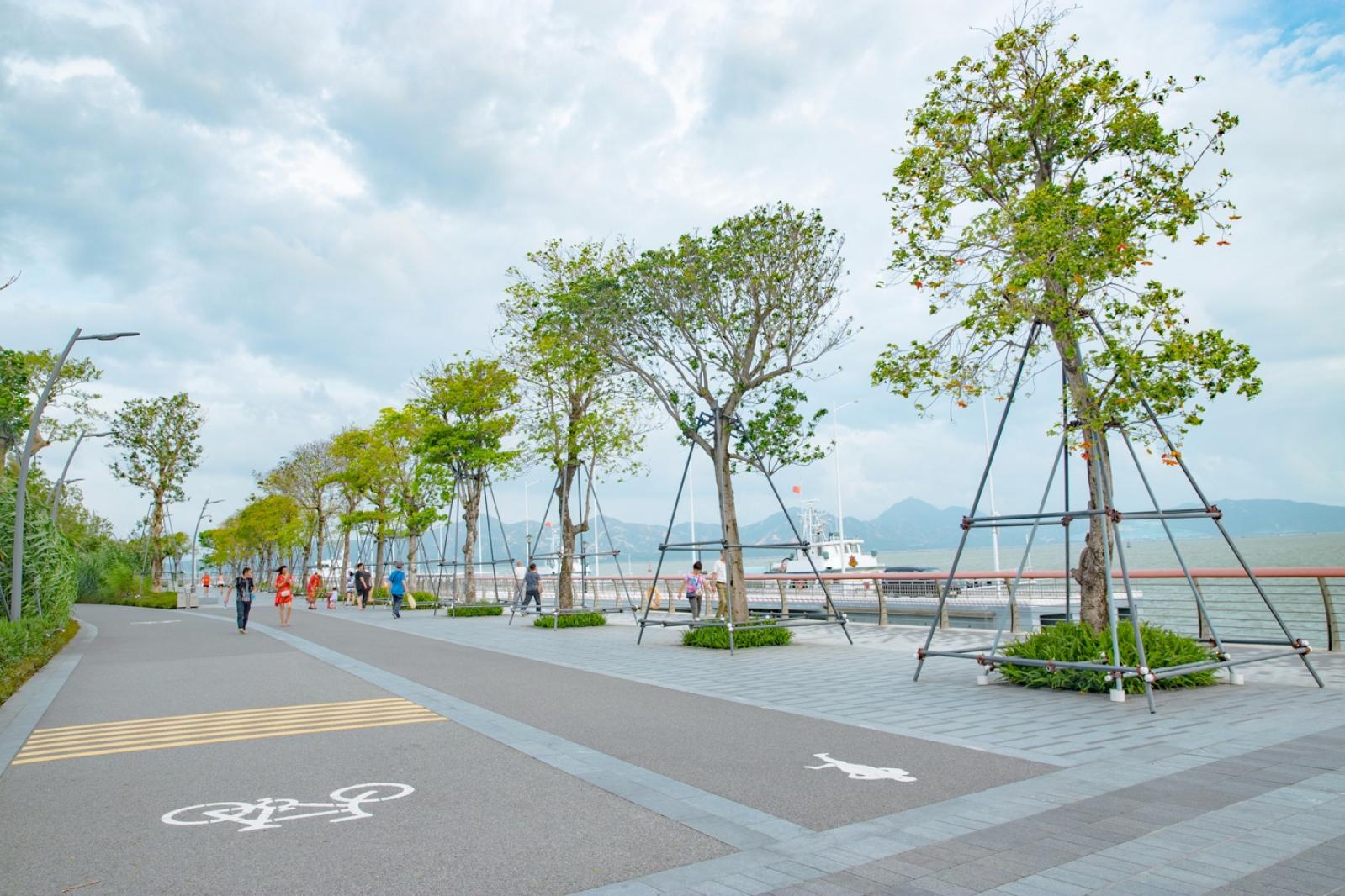 深圳湾滨海休闲带西段