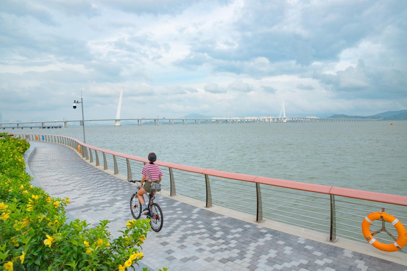 深圳湾滨海休闲带西段
