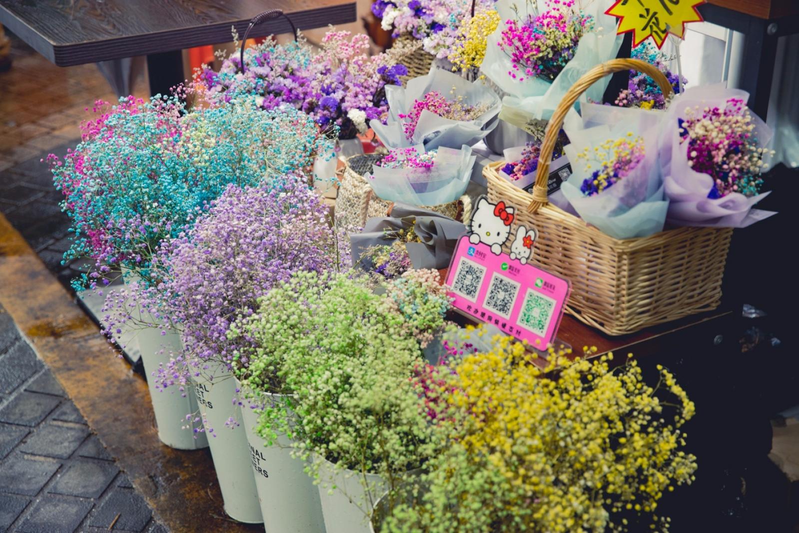 荷兰花卉小镇