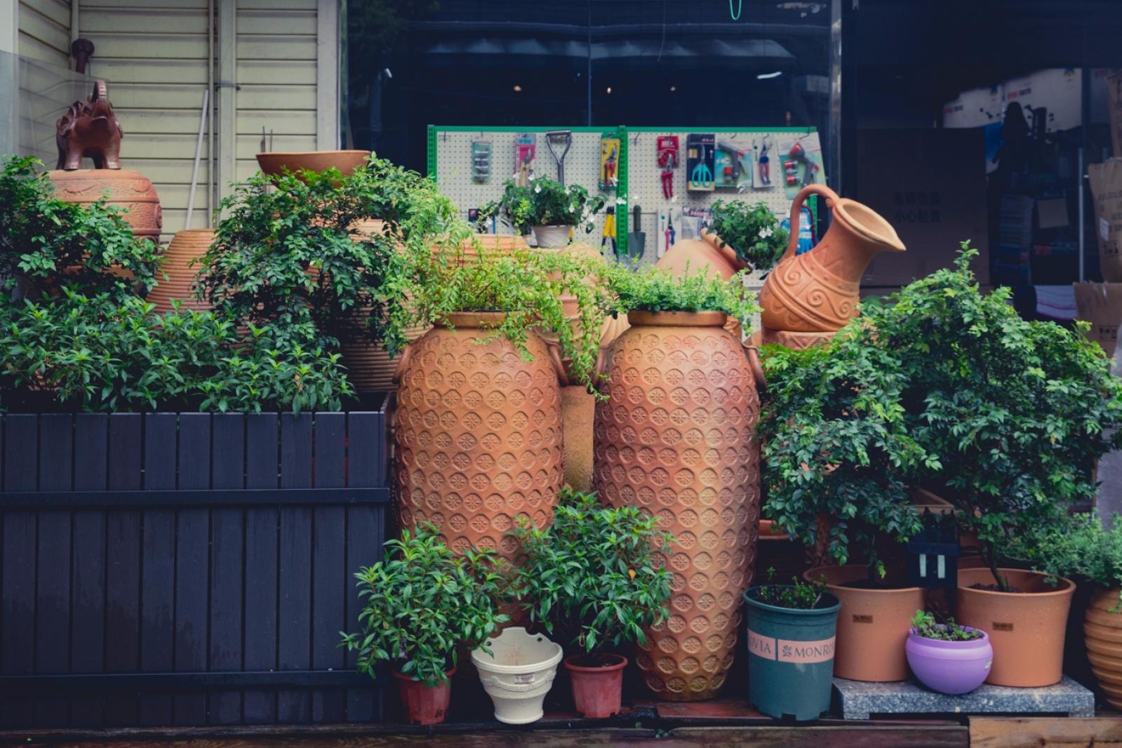 荷兰花卉小镇