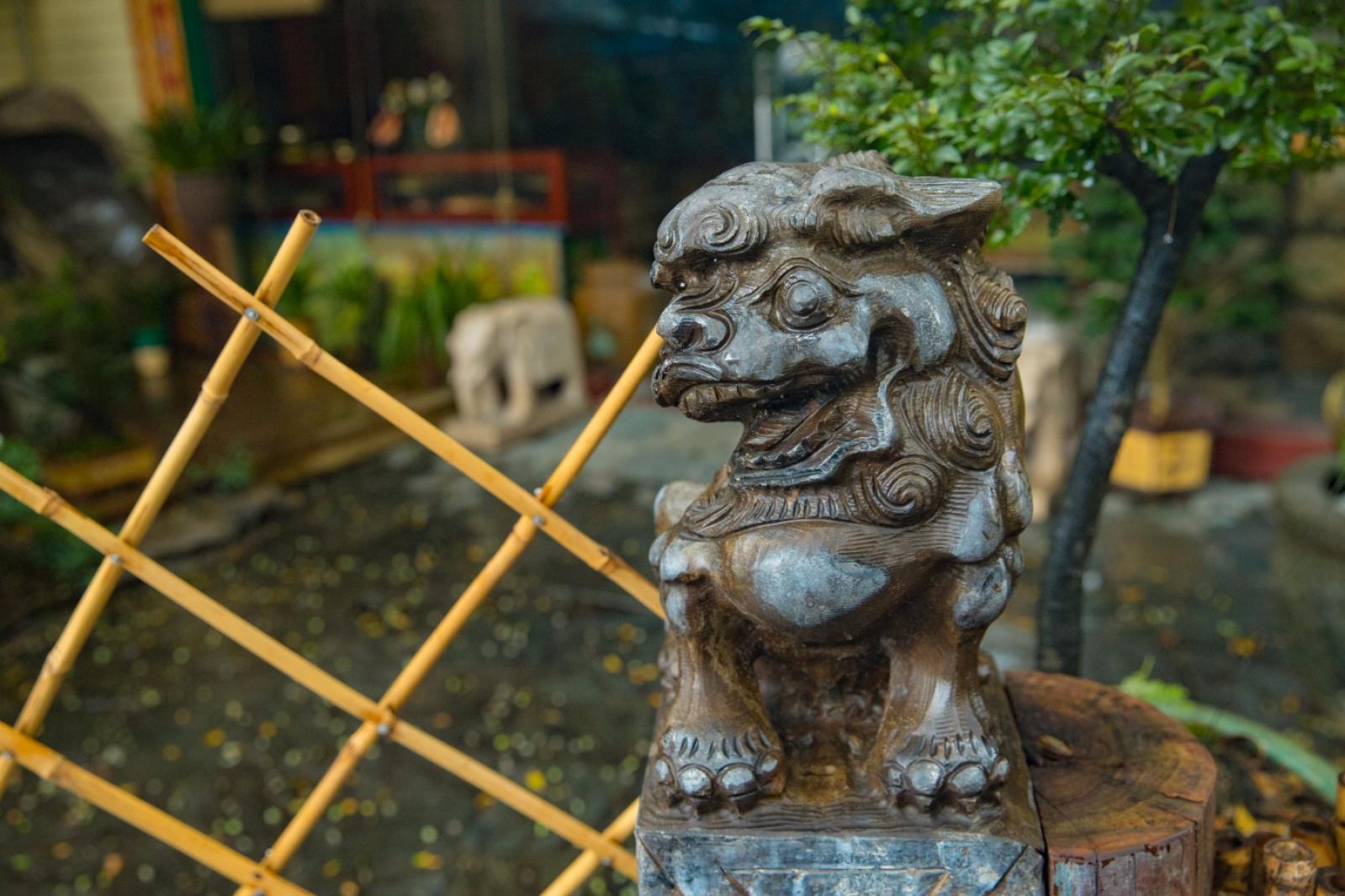 荷兰花卉小镇