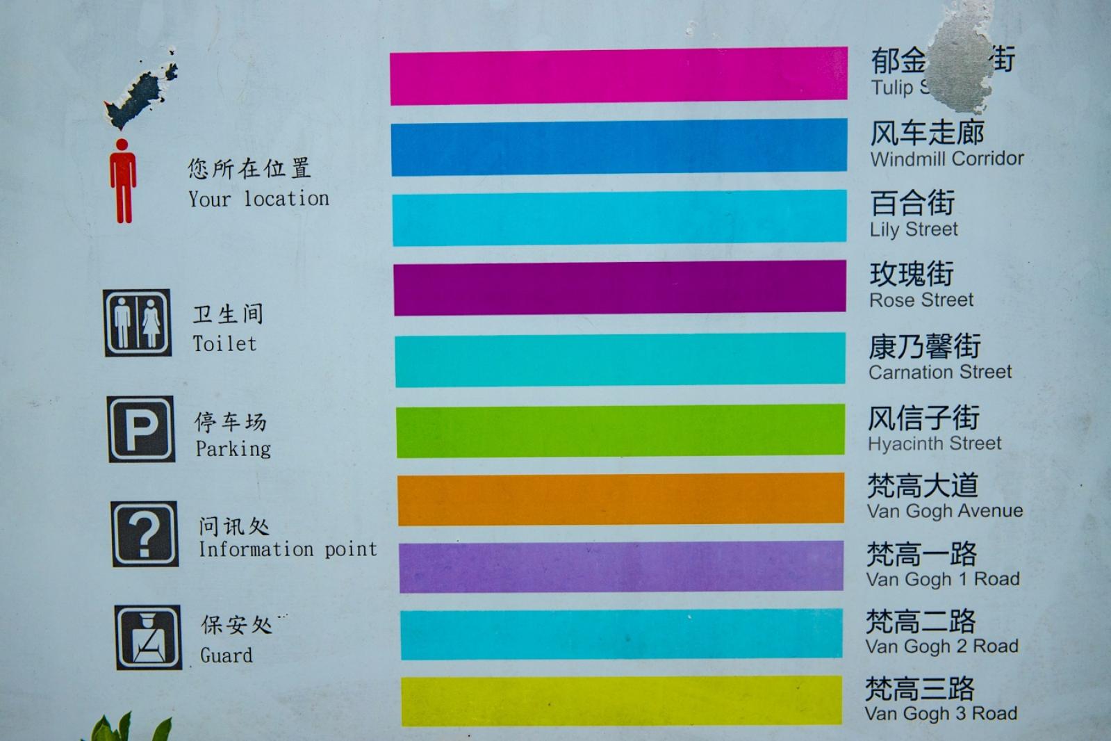 荷兰花卉小镇