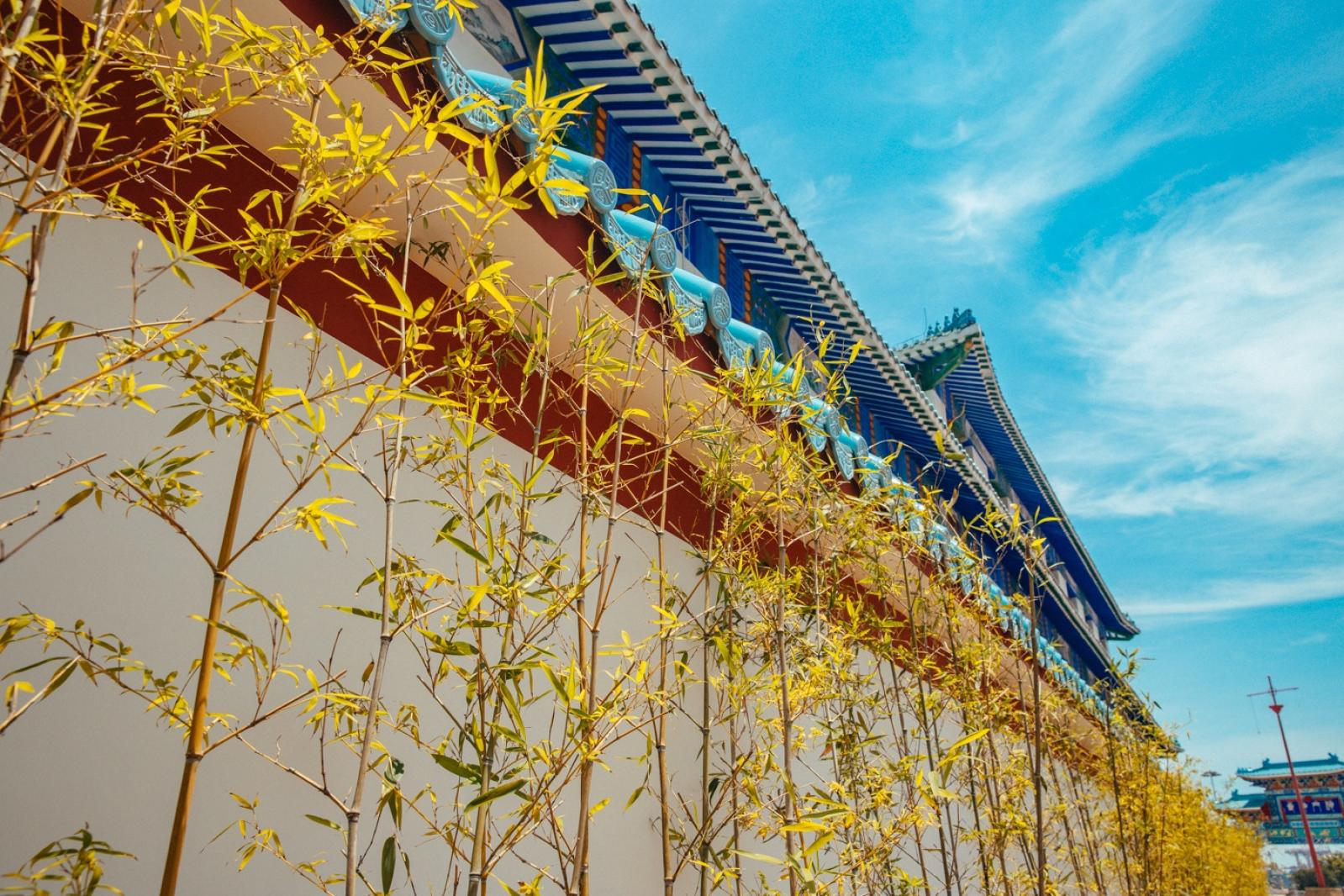 天后博物馆（天后宫）