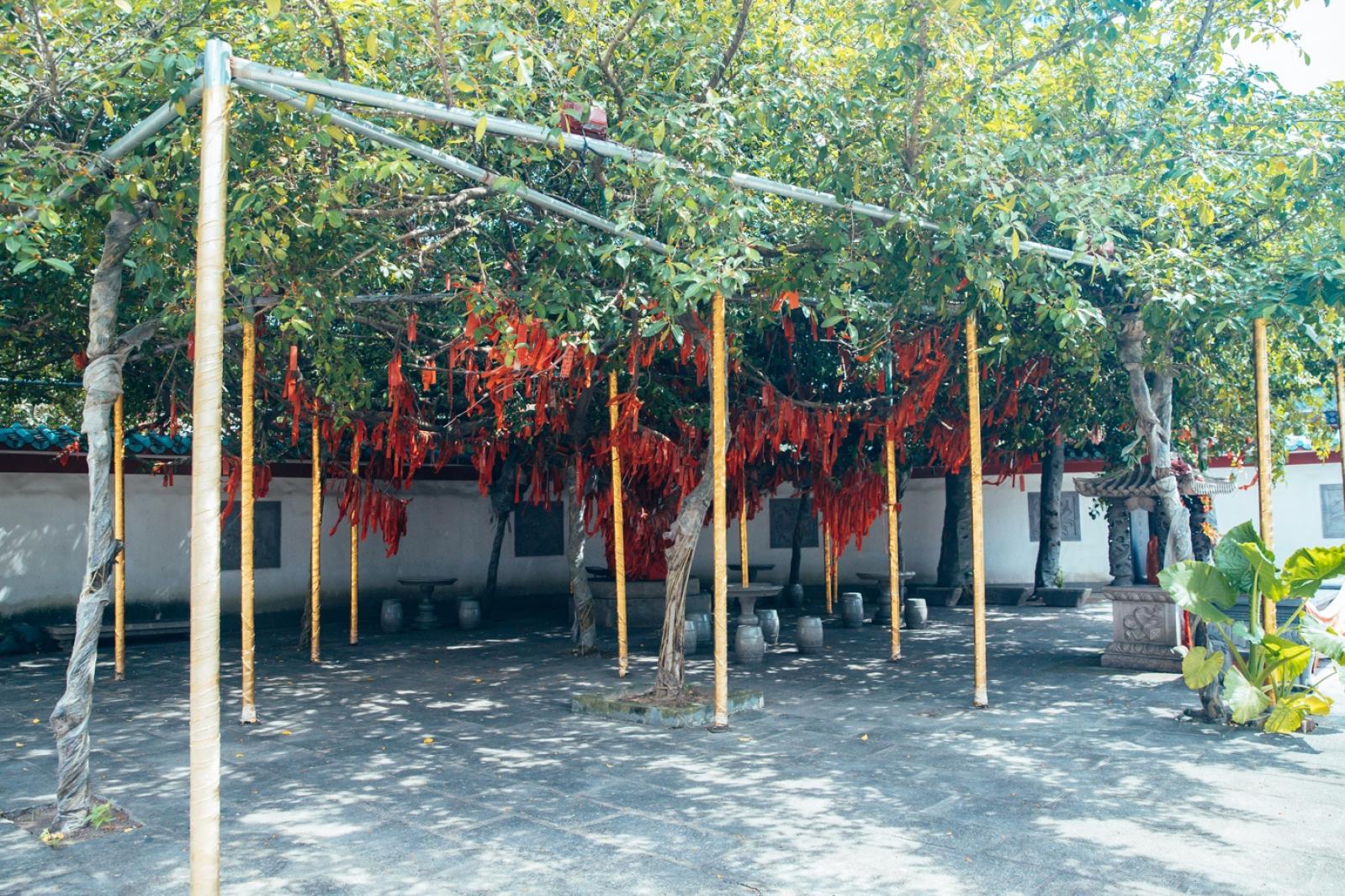 天后博物馆（天后宫）
