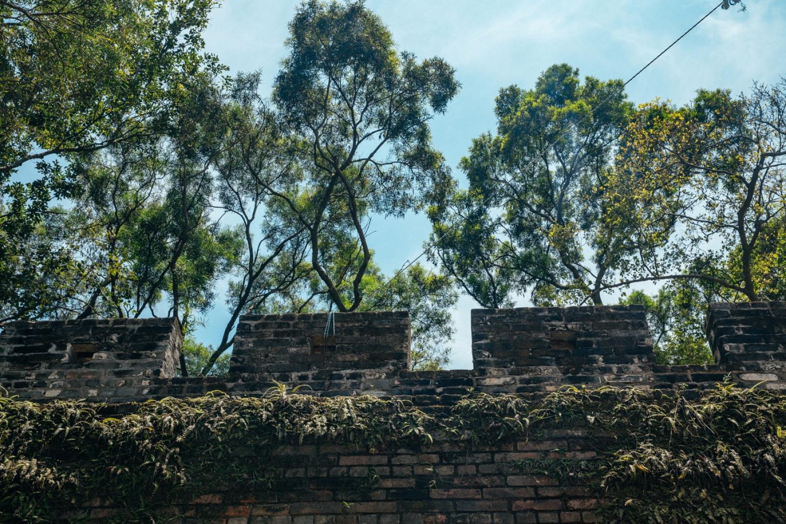 赤湾左炮台
