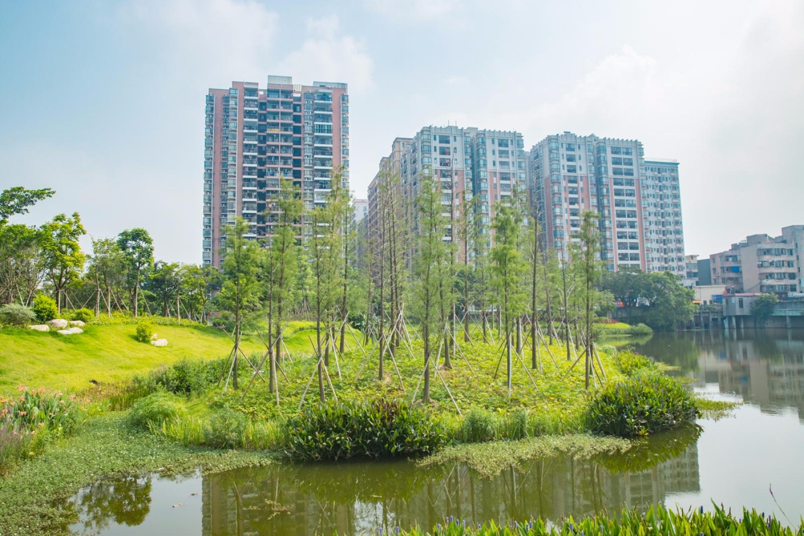 深圳万丰湖湿地公园