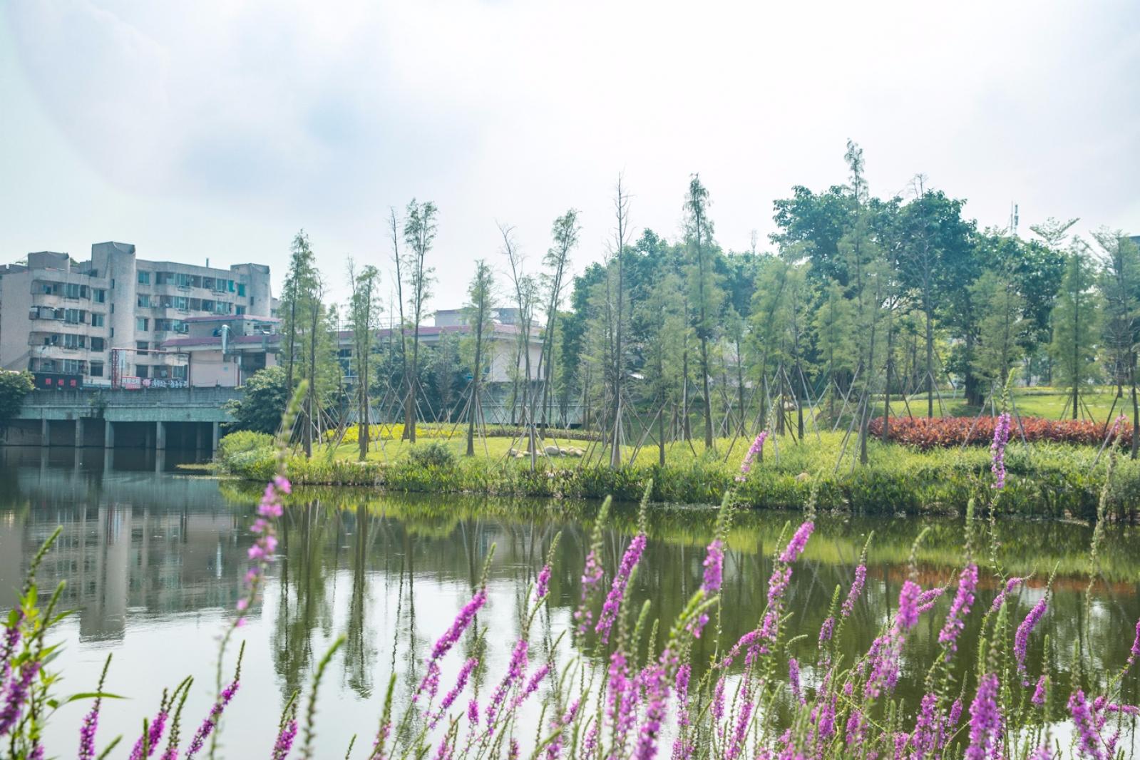深圳万丰湖湿地公园