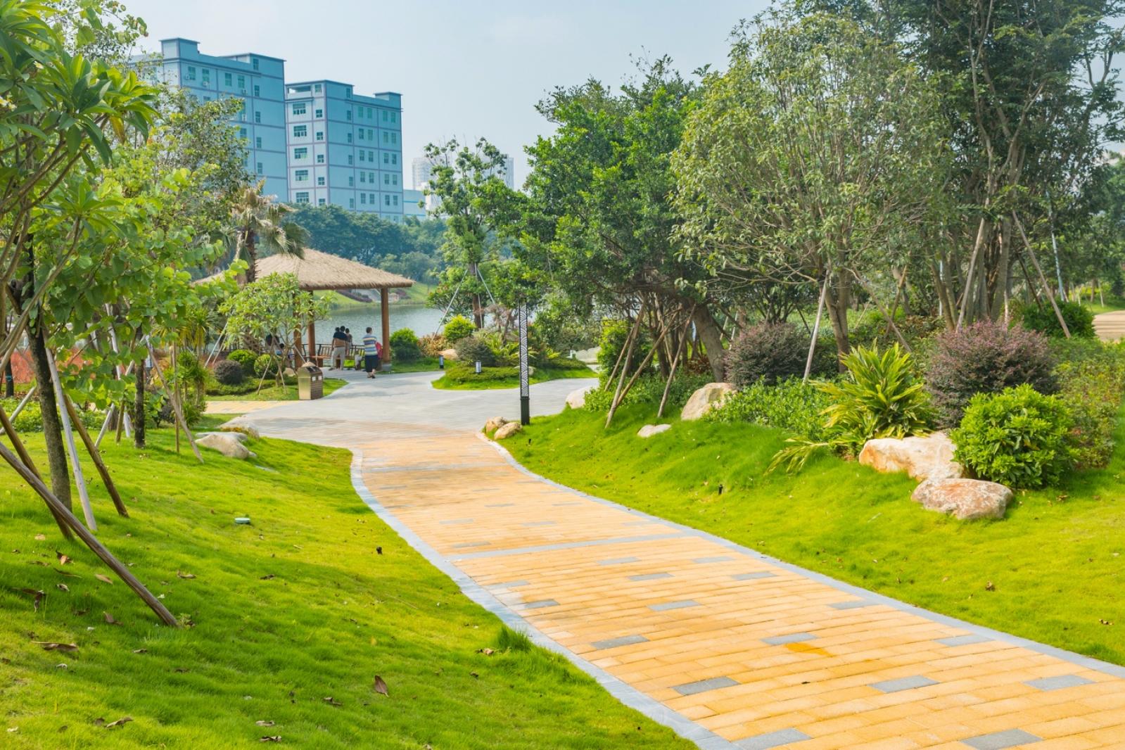 深圳万丰湖湿地公园