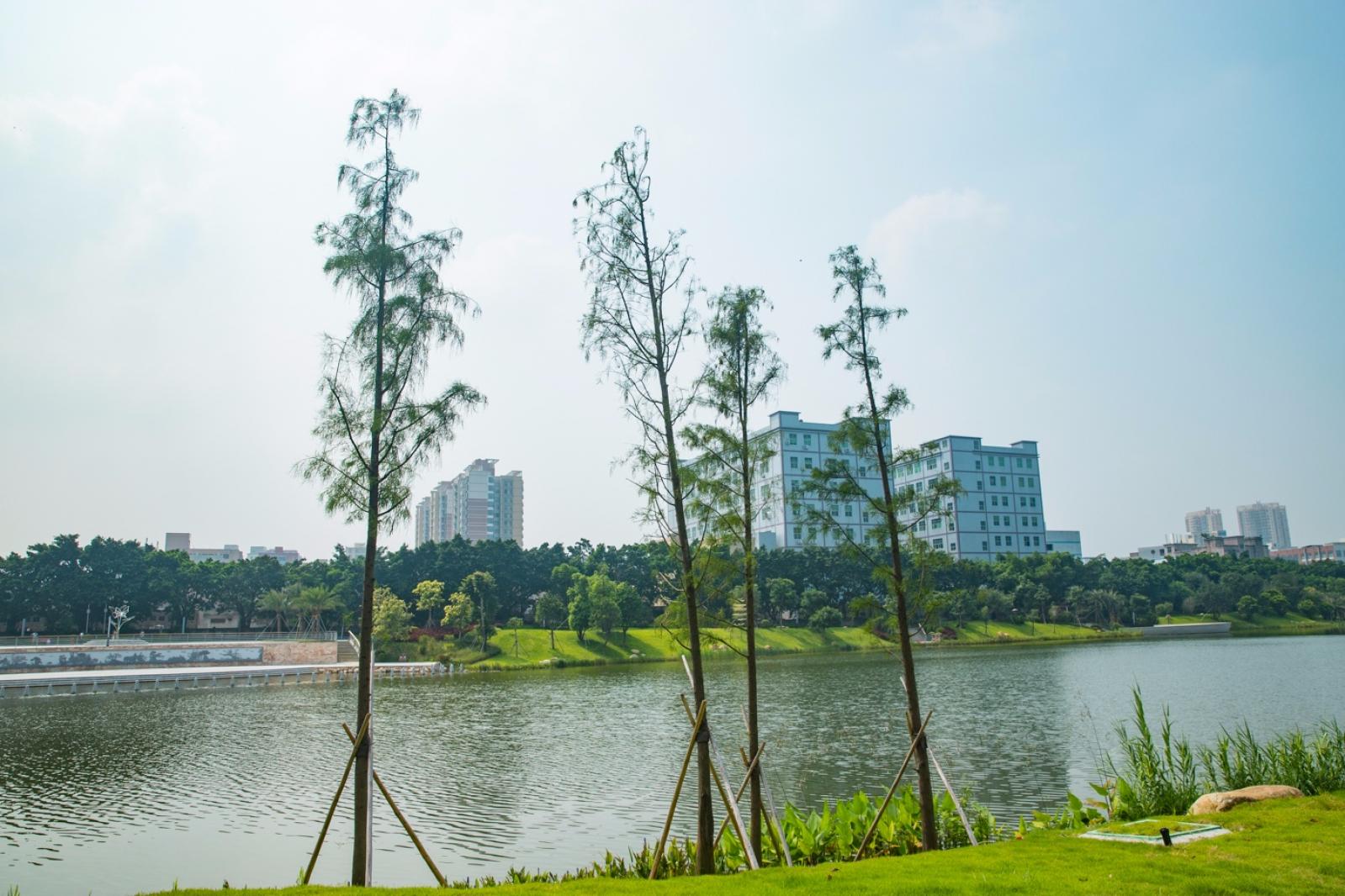 深圳万丰湖湿地公园