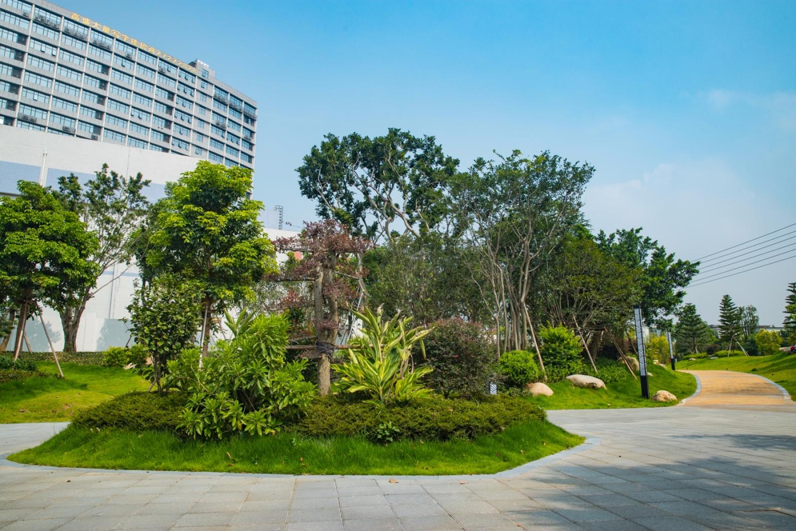 深圳万丰湖湿地公园