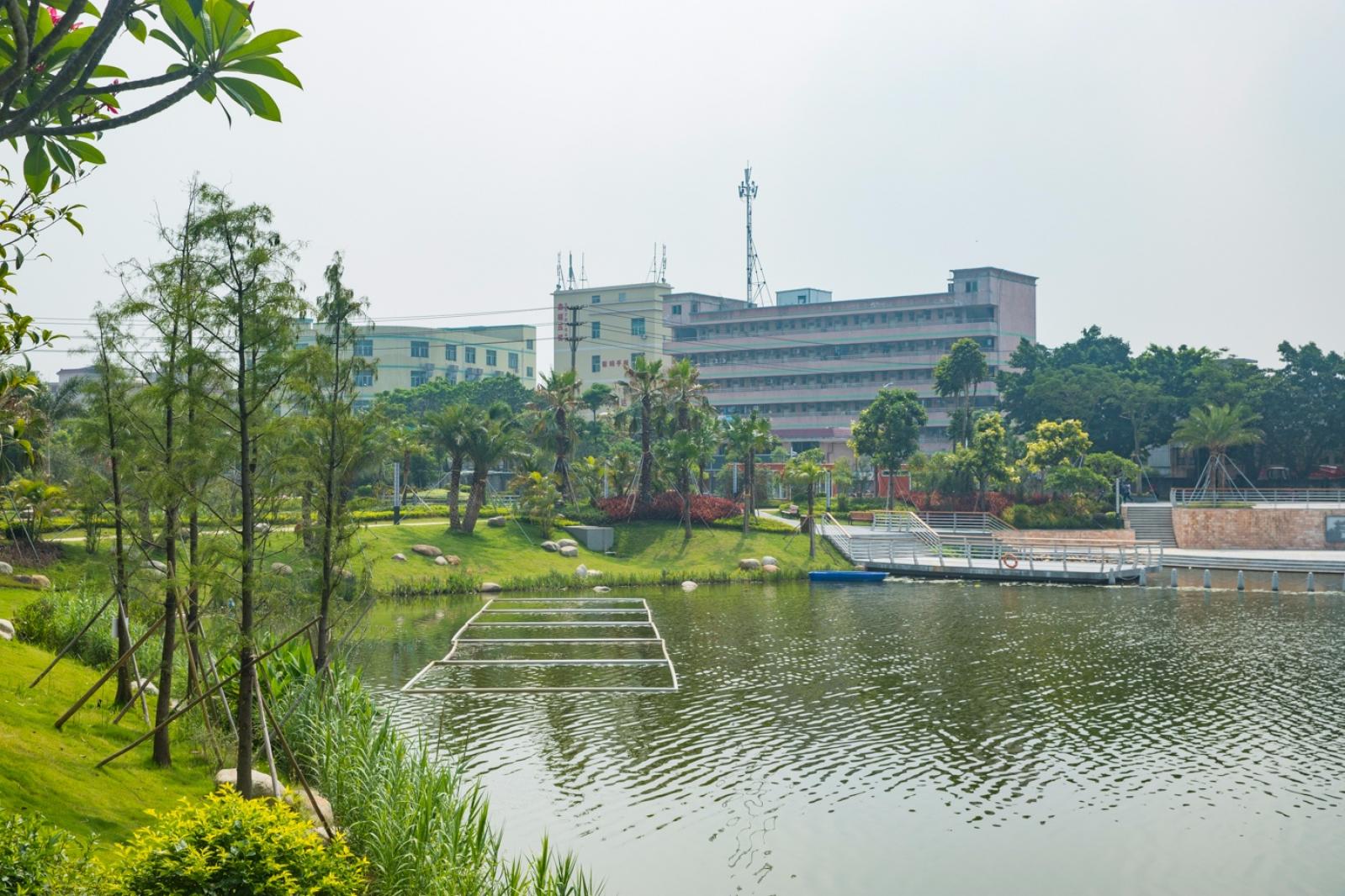 深圳万丰湖湿地公园
