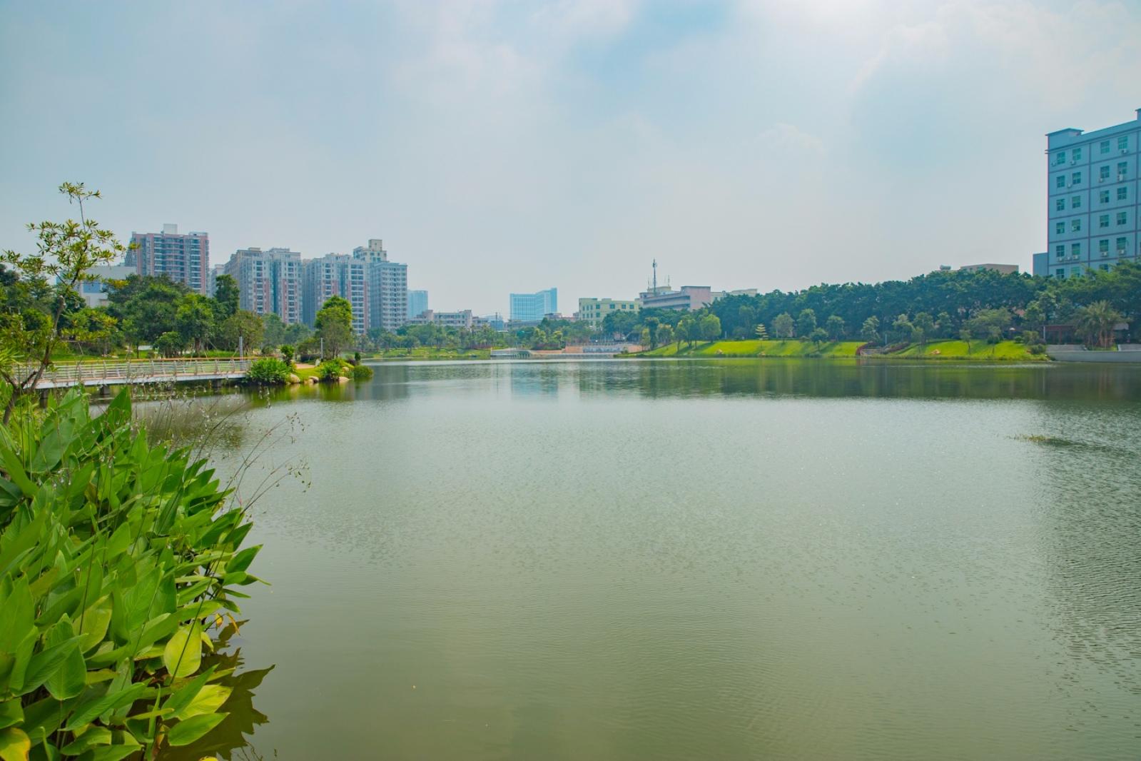 深圳万丰湖湿地公园