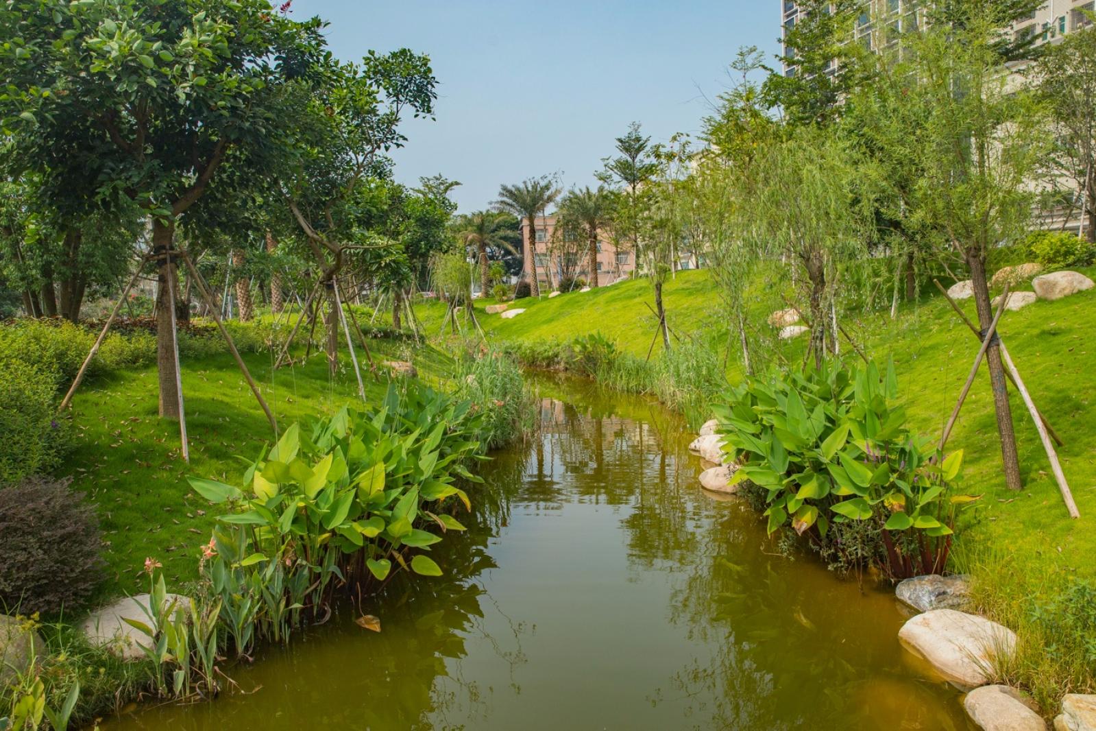 深圳万丰湖湿地公园