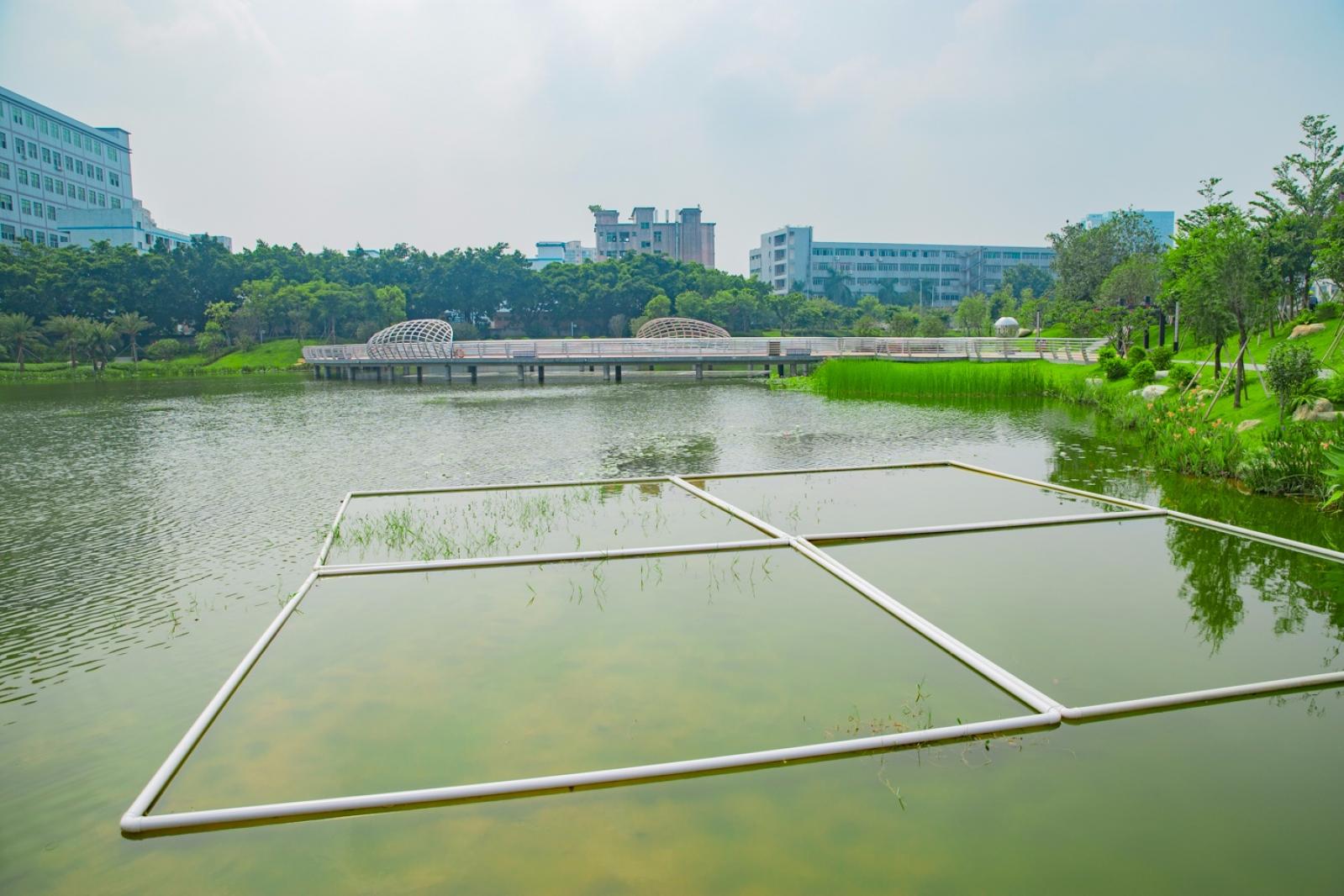 深圳万丰湖湿地公园