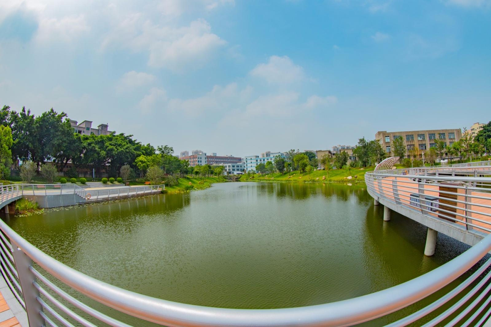 深圳万丰湖湿地公园
