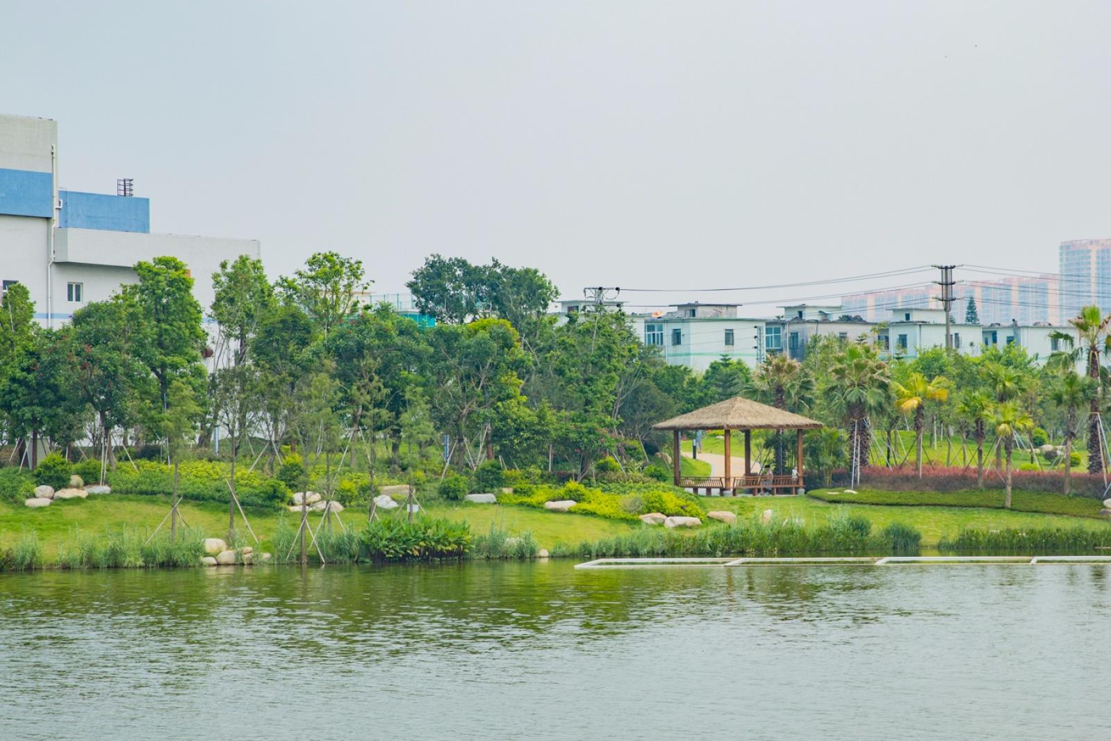 深圳万丰湖湿地公园