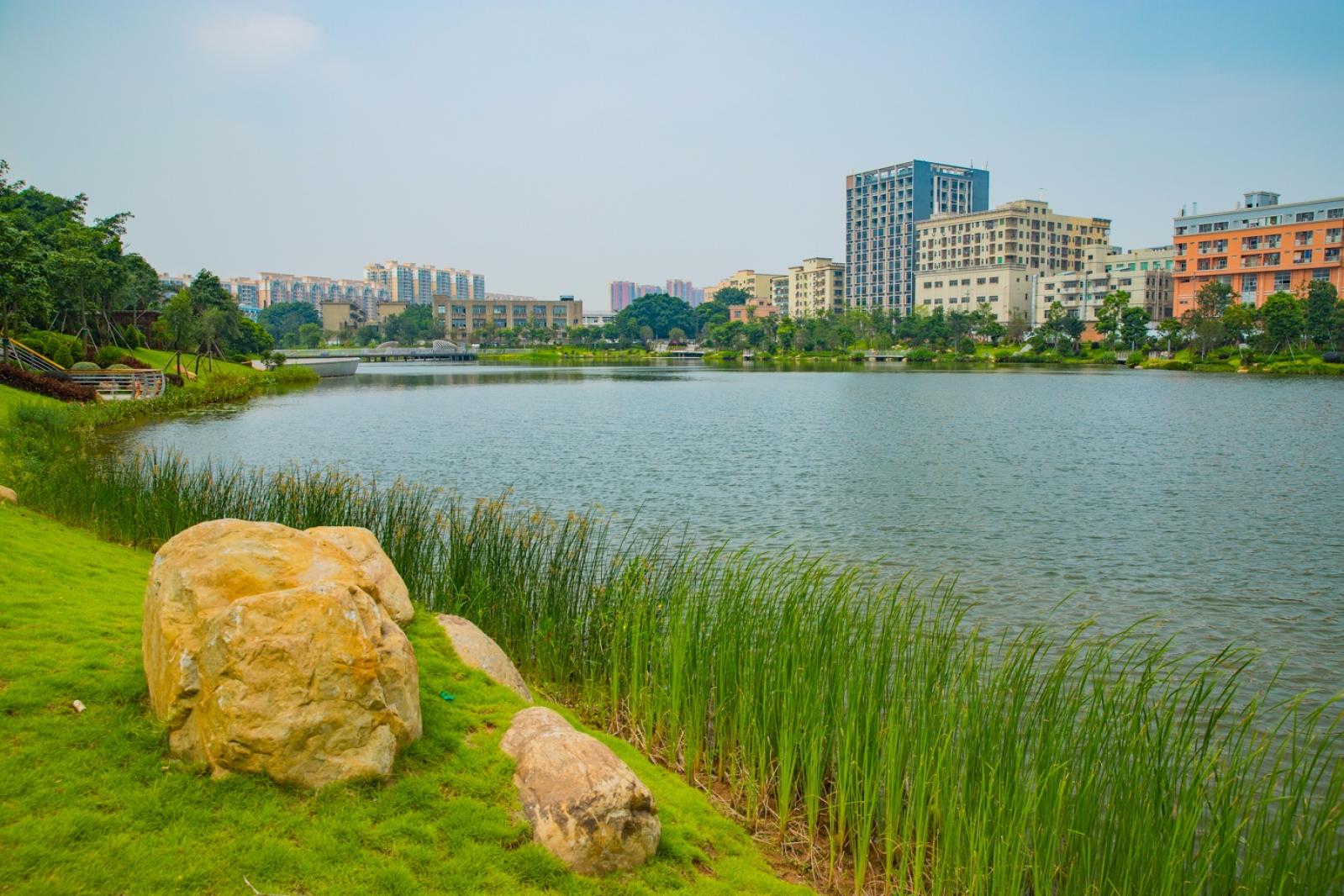 深圳万丰湖湿地公园