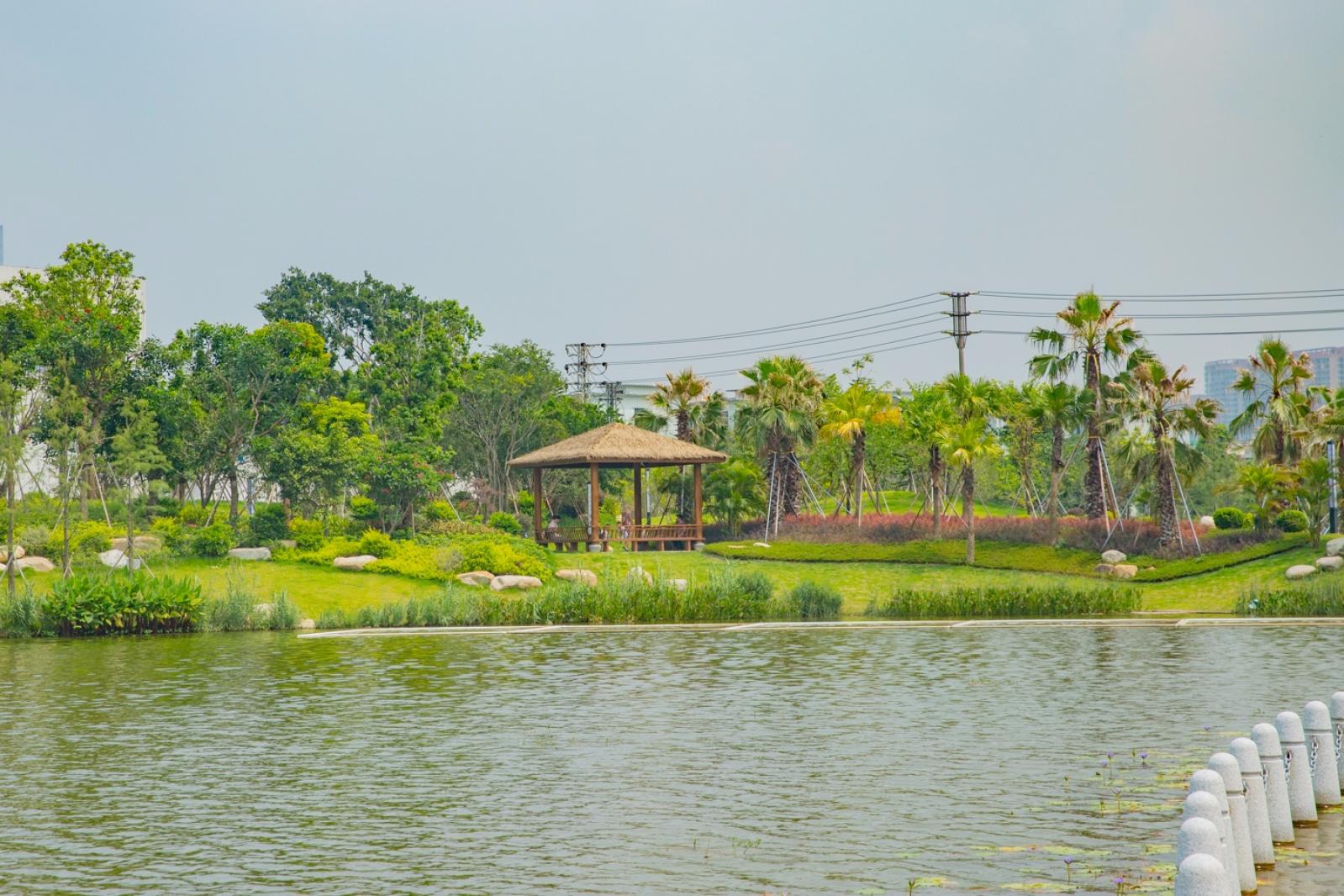 深圳万丰湖湿地公园