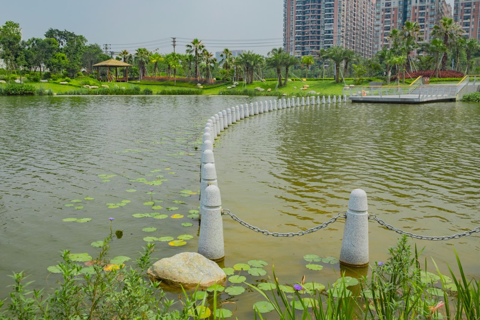 深圳万丰湖湿地公园